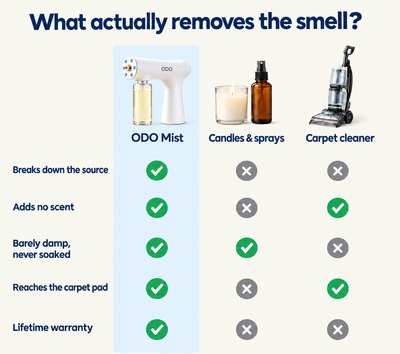 ODO Odor Removing Spray
